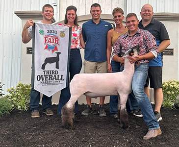 Howell Club Lambs Winners