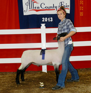 Howell Club Lambs Winners