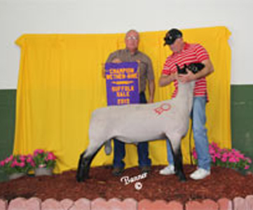 Howell Club Lambs Winners