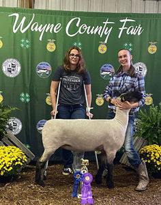Howell Club Lambs Winners