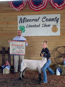Howell Club Lambs Winners