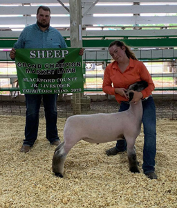 Howell Club Lambs Winners